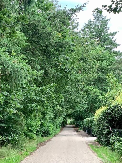 Op Boszicht Genieten Van De Rust & Natuur Putten Exterior photo