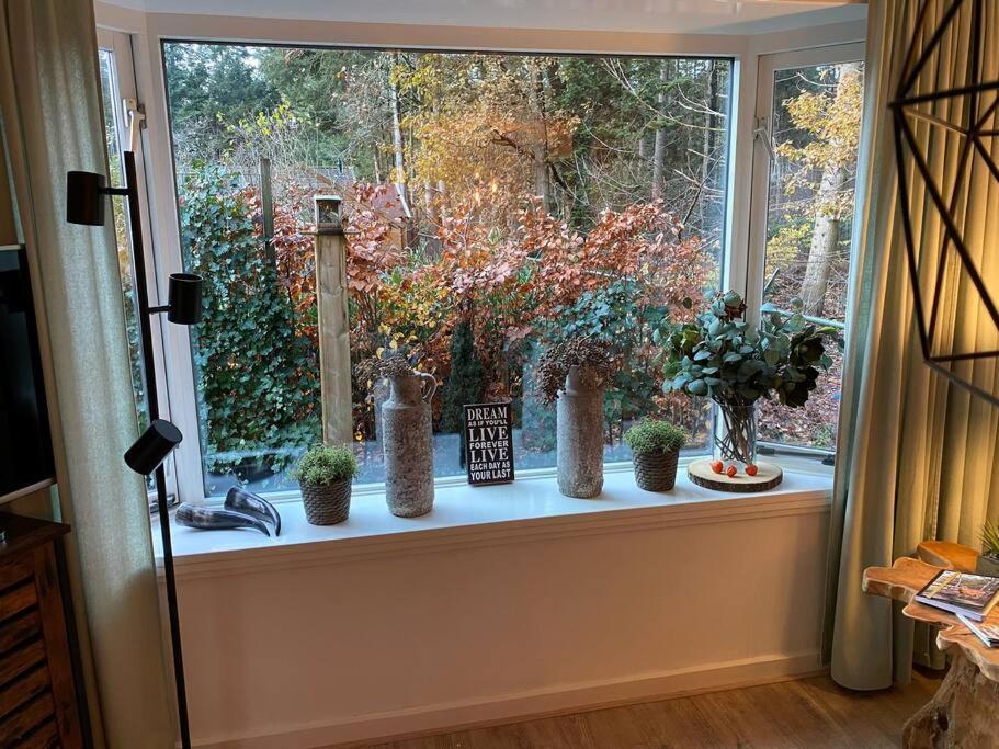 Op Boszicht Genieten Van De Rust & Natuur Putten Exterior photo